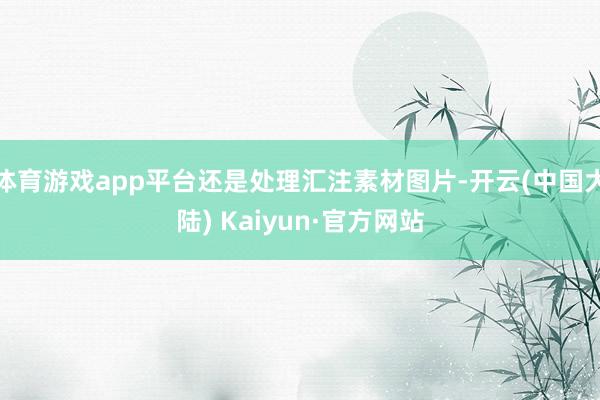 体育游戏app平台还是处理汇注素材图片-开云(中国大陆) Kaiyun·官方网站