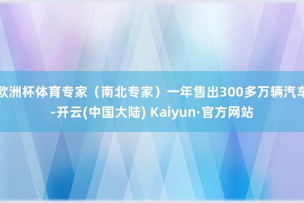 欧洲杯体育专家（南北专家）一年售出300多万辆汽车-开云(中国大陆) Kaiyun·官方网站