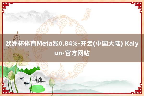 欧洲杯体育Meta涨0.84%-开云(中国大陆) Kaiyun·官方网站